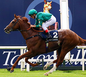 DECORATED KNIGHT